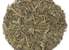 Sencha Tee